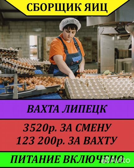 Вахта в Липецке с проживанием/Сборщик яиц