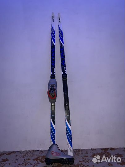 Беговые лыжи