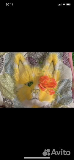 Фурсьют кота