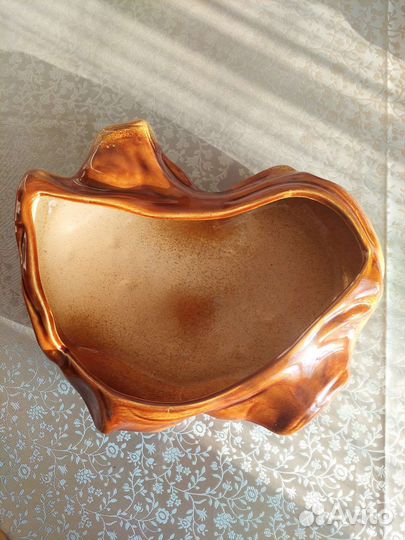 Кактусница керамическая