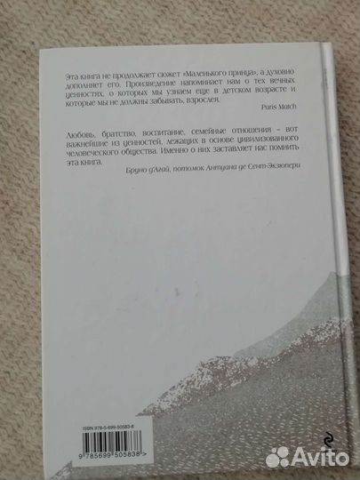 Ремерс. Возвращение юного принца. Книга