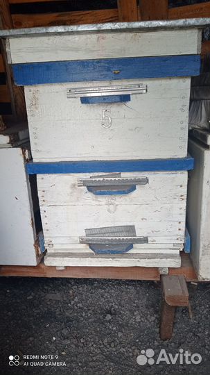 Продам ульи для пчел