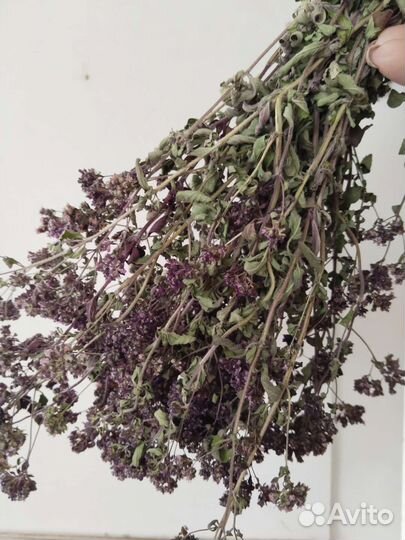 Травы лекарственные