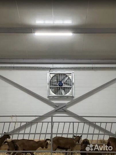 Вытяжные вентиляторы на ферму