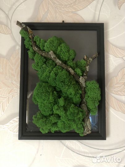 Картина из натурального стабилизированного мха