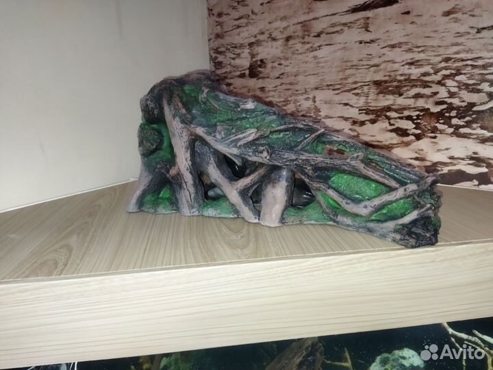 Грот- коряга