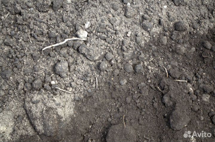 Грунт в теплицу