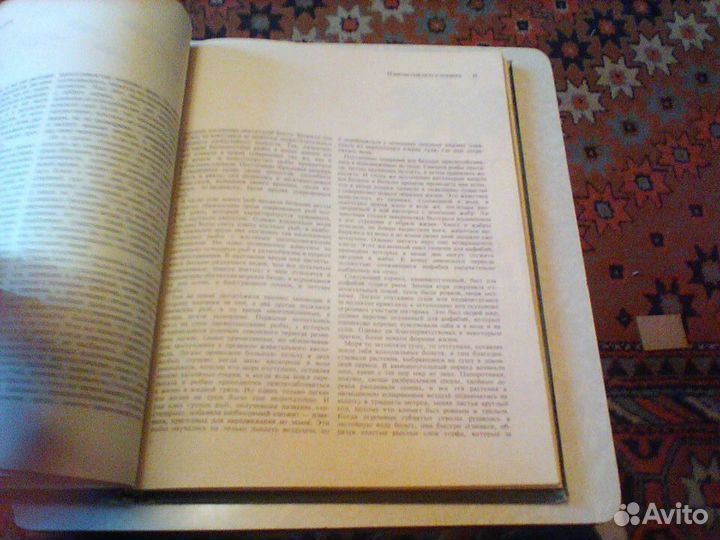 Вуд.Вачек.Жизнь до человека.1977 год