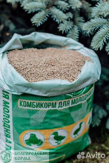 Комбикорм для бройлеров старт