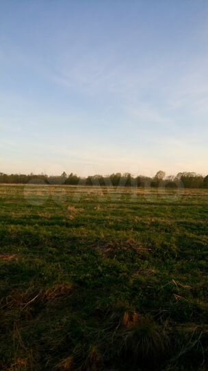 Участок 3,37 га (СНТ, ДНП)