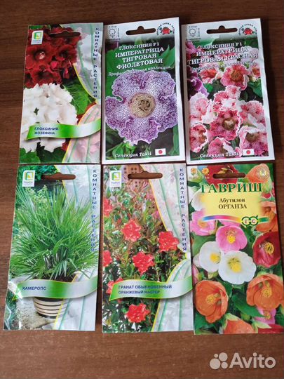Семена комнатных растений