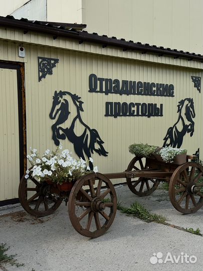 Постой лошадей