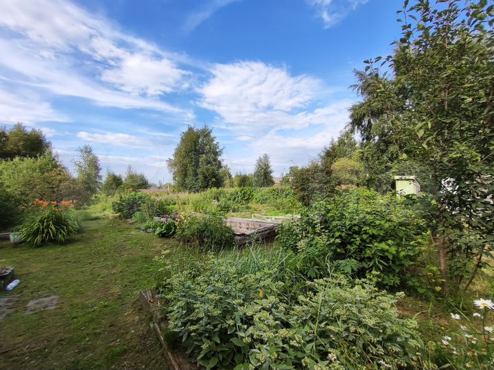 Дача 24 м² на участке 8 сот.