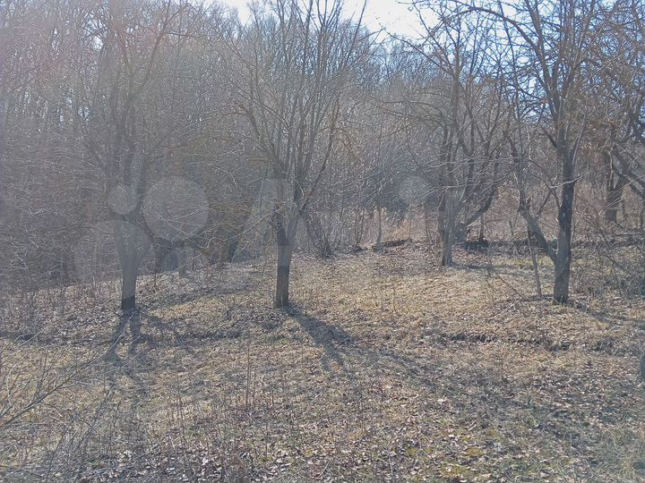 Участок 6,8 сот. (СНТ, ДНП)