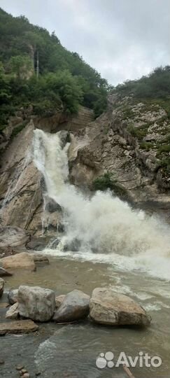 Заказать такси минивэн