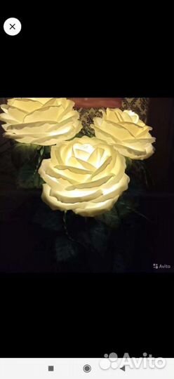 Розы торшер в кашпо