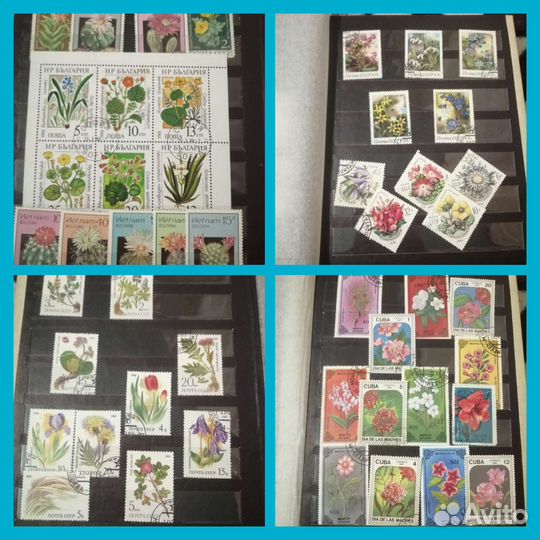 Почтовые марки СССР