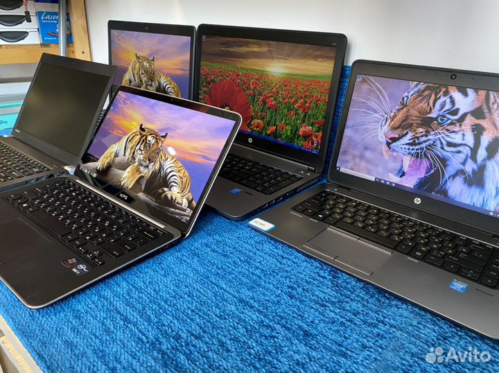 Игровой/премиальный для монтажа ноутбук Dell