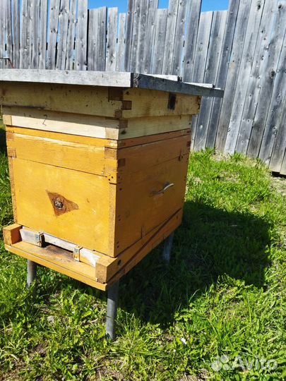 Продам ульи для пчел