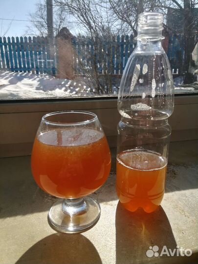 Медовуха безалкогольная