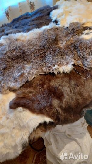Мех кролика шкурка