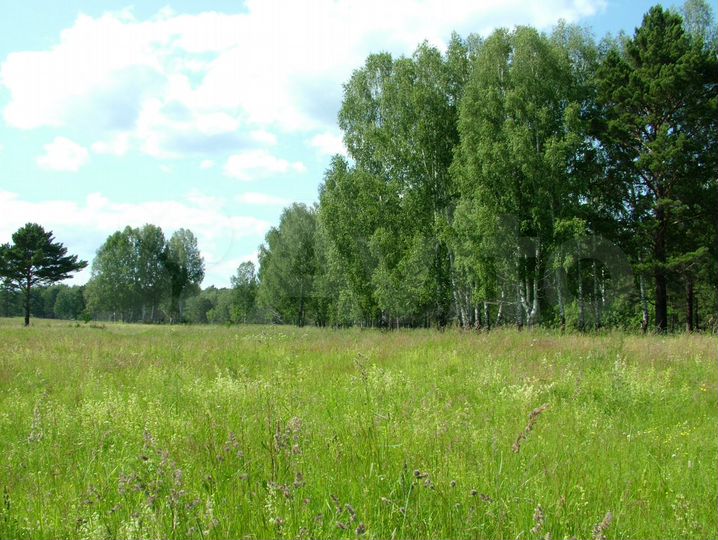 Участок 26,6 га (СНТ, ДНП)