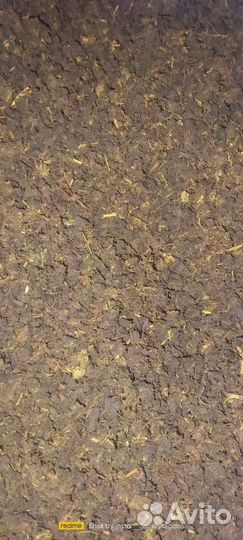 Иван-чай (Чай Предков)