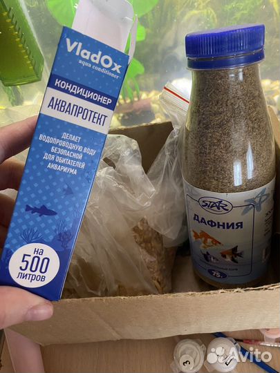 Аквариум + рыбы + декор