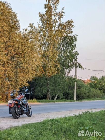 Harley Davidson Sportster Xl883l