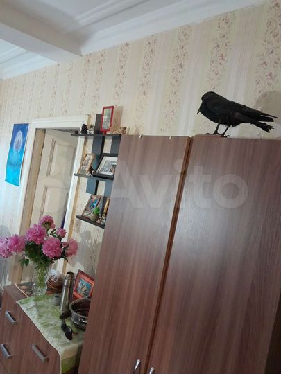 3-к. квартира, 56 м², 1/2 эт.