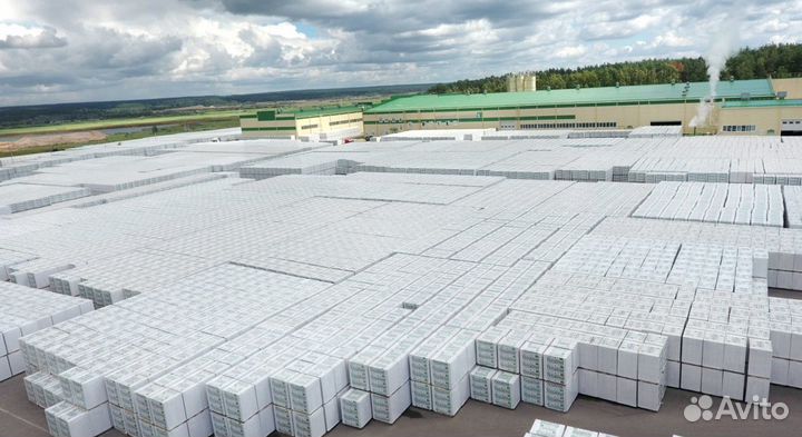 Пеноплэкс 100