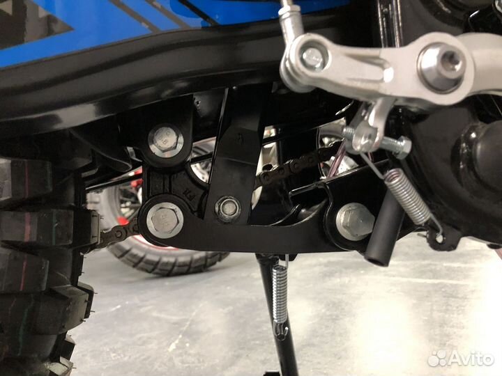 Avantis LX 300 (174MM) 6-ть передач, С птс 2023