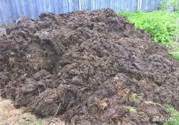 Навоз в Нижнем Новгороде