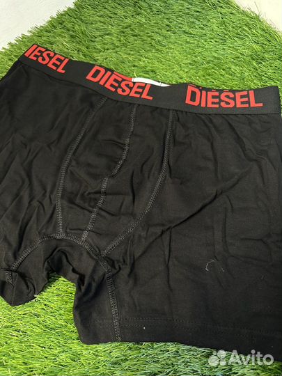 Боксеры Diesel