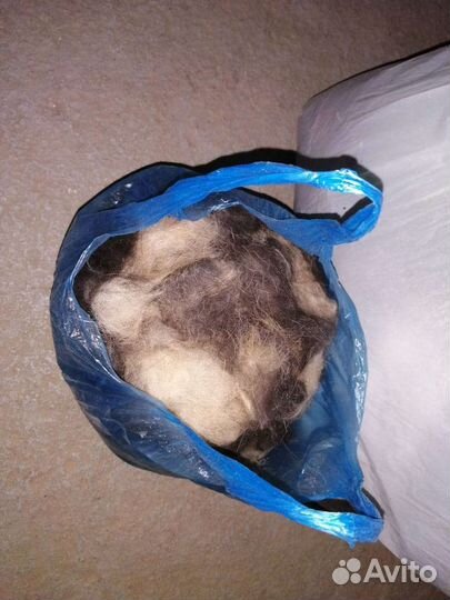 Шерсть собачья, вычес