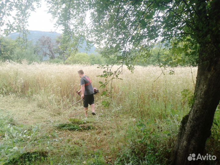 Покос травы, спил деревьев