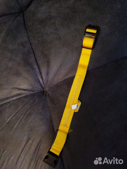 Светящийся ошейник для собаки