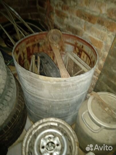 Медогонка бу