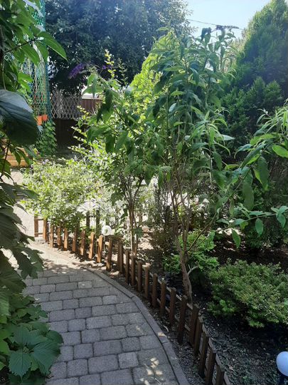 Комната 17 м² в 1-к., 2/3 эт.