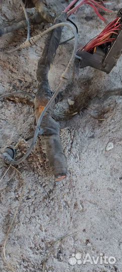 Проводка подкапотная на Volkswagen Passat B6