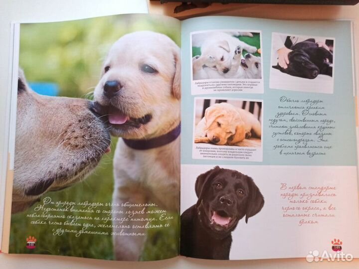 Большая энциклопедия. Собаки