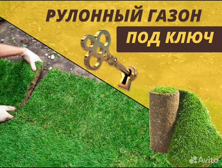 Рулонный газон доставка укладка Элитный