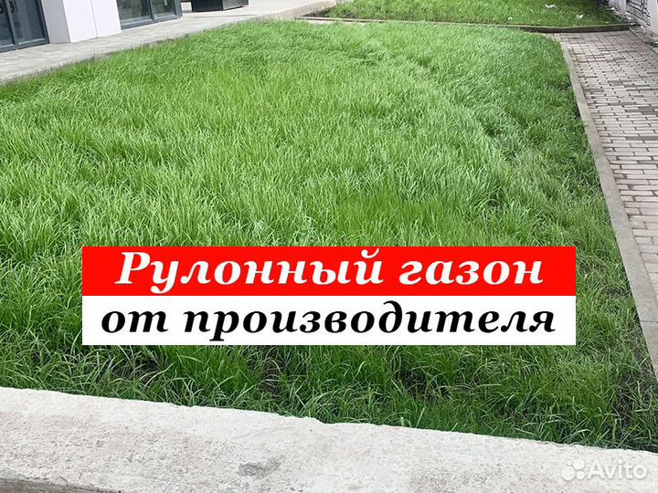 Рулонный газон под ключ