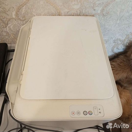 Принтер hp 2130