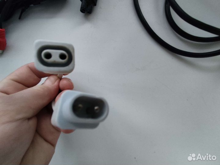 Тюльпаны провода