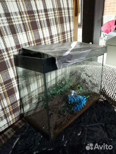 Аквариум для рыбок