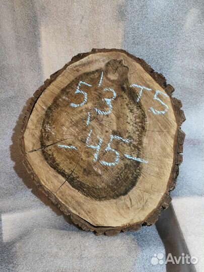 Торцевые спилы деревьев