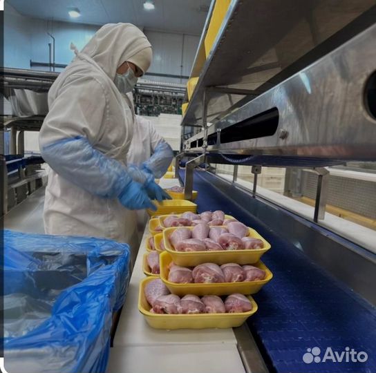 Упаковщик Вахта питание проживание