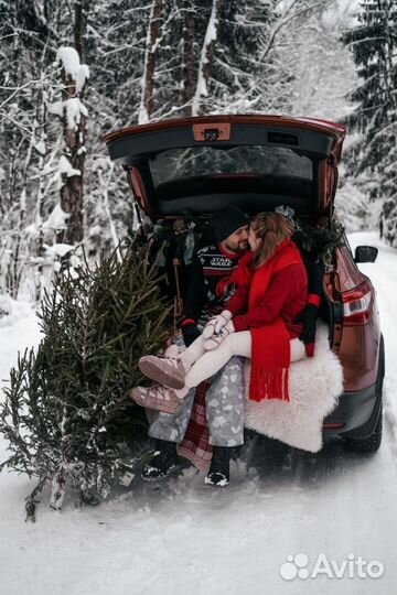 Елка живая, сосна, ель, подставка + доставка