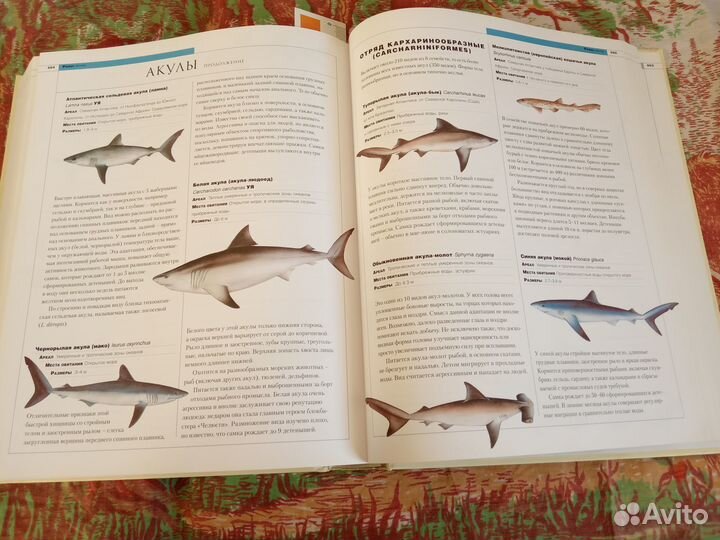 New энциклопедия животных